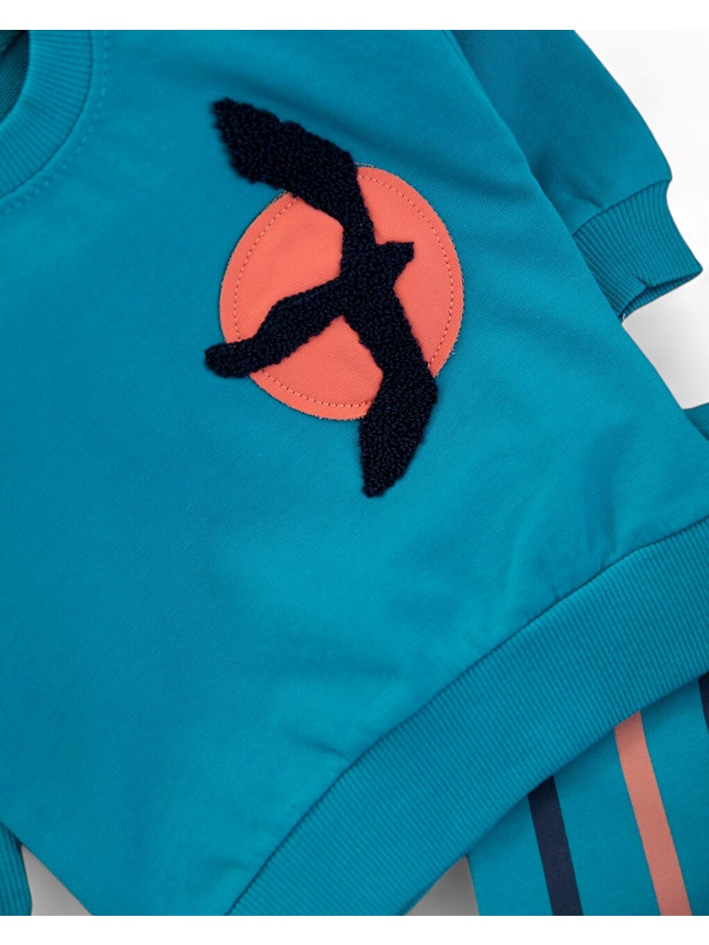 Petrol Erkek Bebek Mevsimlik Martı Nakışlı Sweatshirt, Çizgili Pantalonlu 2'li Alt Üst Takım-4