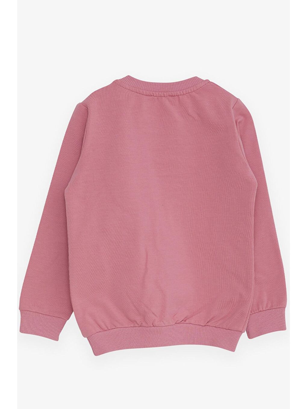 Pembe Kız Çocuk Sweatshirt Ayıcık Aksesuarlı Gülkurusu (1.5-5 Yaş)-2