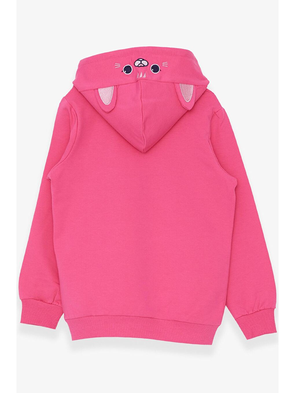 Breeze Pembe Kız Çocuk Sweatshirt Nakışlı Yazı Baskılı Pembe (2-5 Yaş) - 1