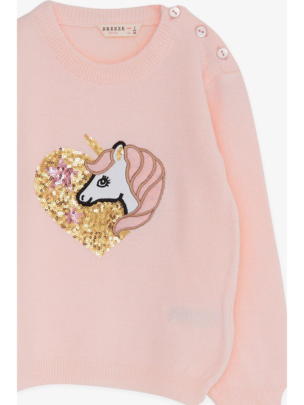 Pembe Kız Çocuk Triko Kazak Pullu  Baskılı Pudra (1.5-4 Yaş)-2