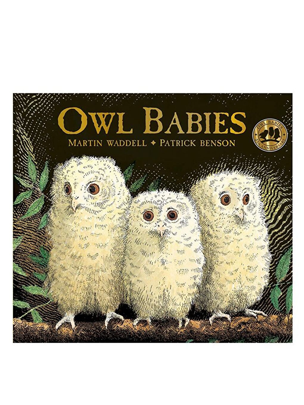 Walker Books Karışık Owl Babies - 1