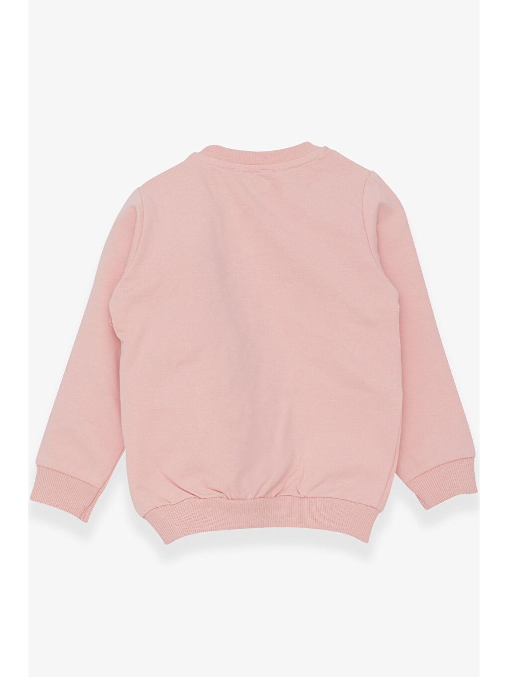 Breeze Pudra Pembe Kız Bebek Sweatshirt Ayıcık Aksesuarlı Pudra (1.5-3 Yaş) - 4