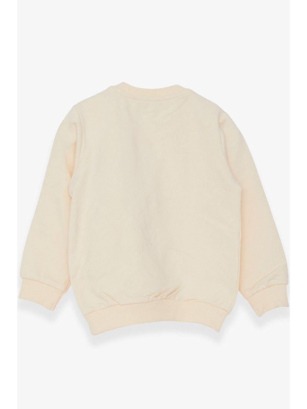 Ekru Kız Çocuk Sweatshirt Ayıcık Aksesuarlı Krem (1.5-5 Yaş)-1