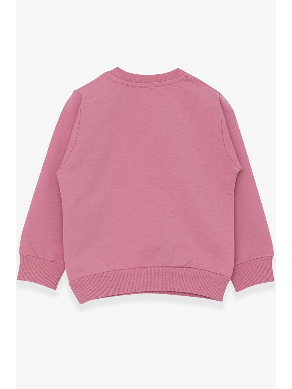 Breeze Gülkurusu Kız Bebek Sweatshirt Nakışlı Pullu Gülkurusu (1-2 Yaş) - 1