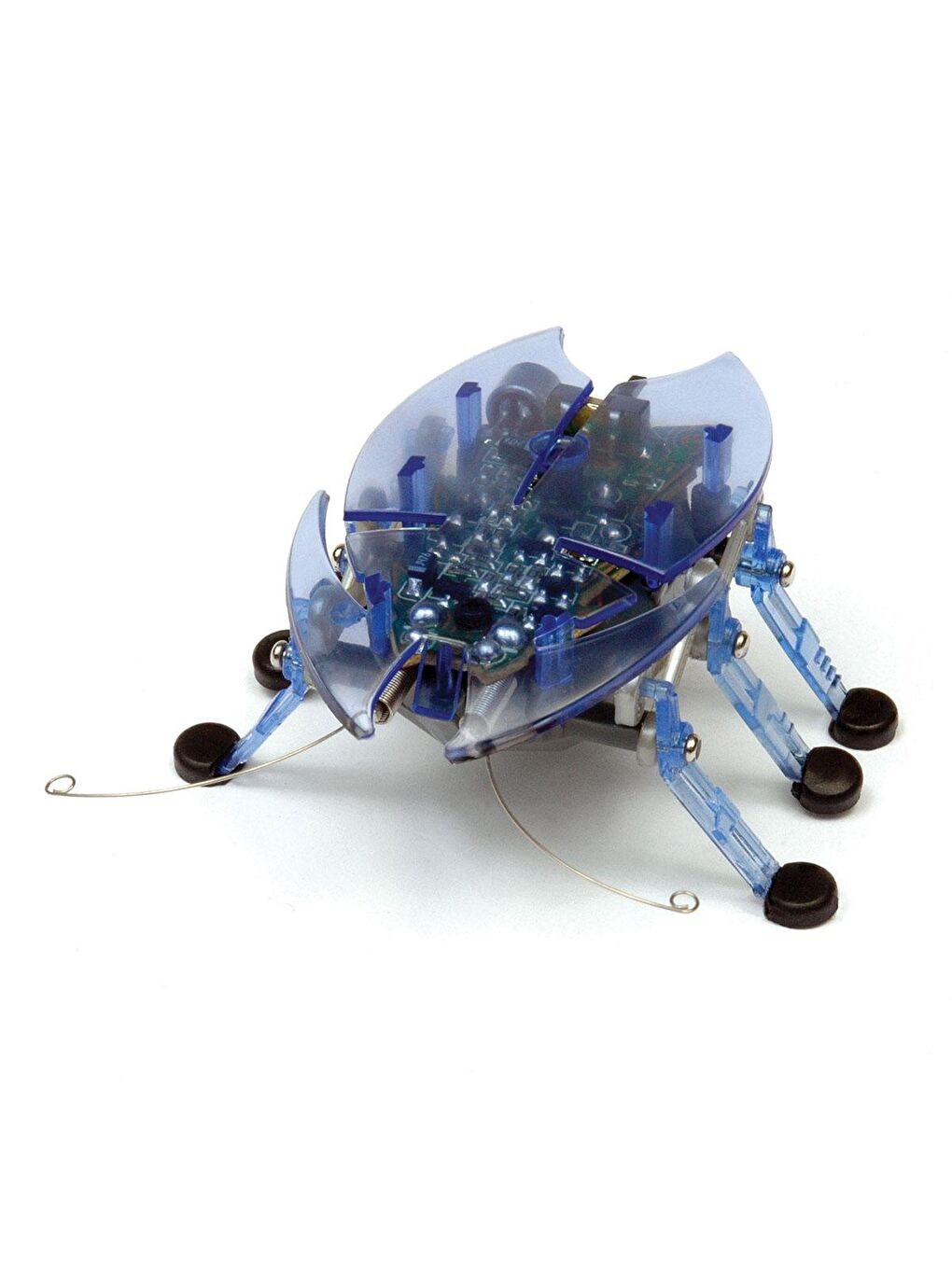 Hexbug Böcek - Mavi