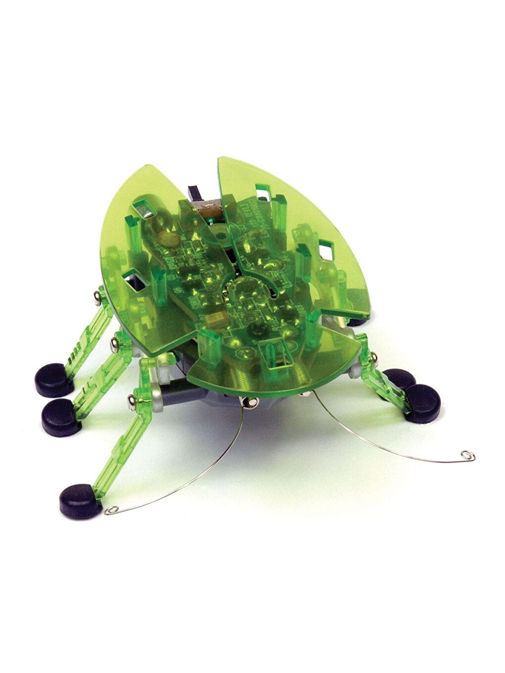 Hexbug Böcek - Yeşil