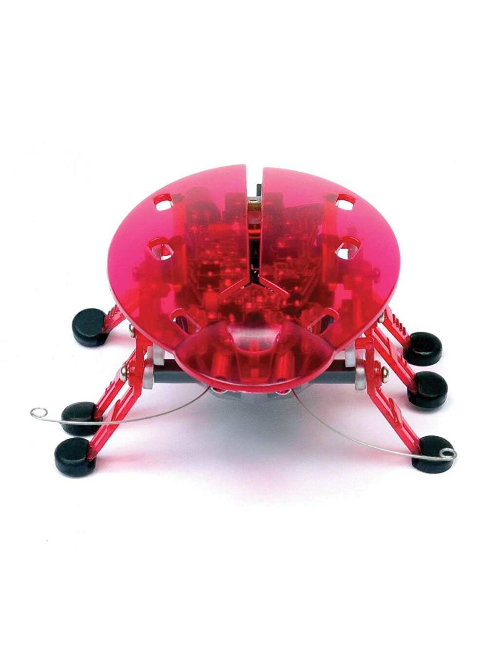 Hexbug Böcek - Pembe