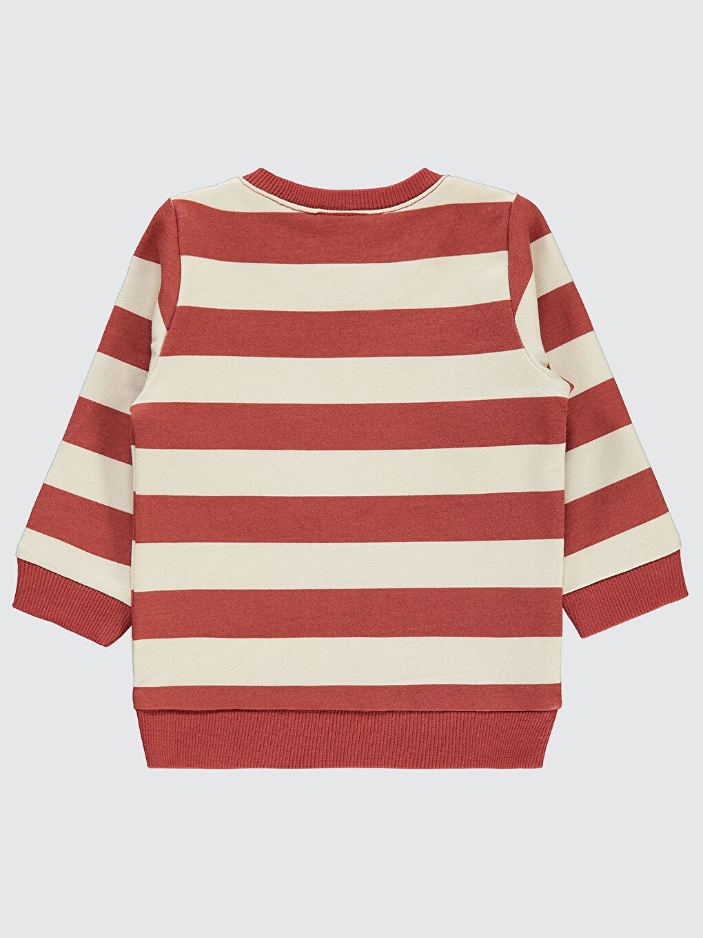Kahverengi Baby Erkek Bebek Sweatshirt 6-18 Ay Kiremit-1