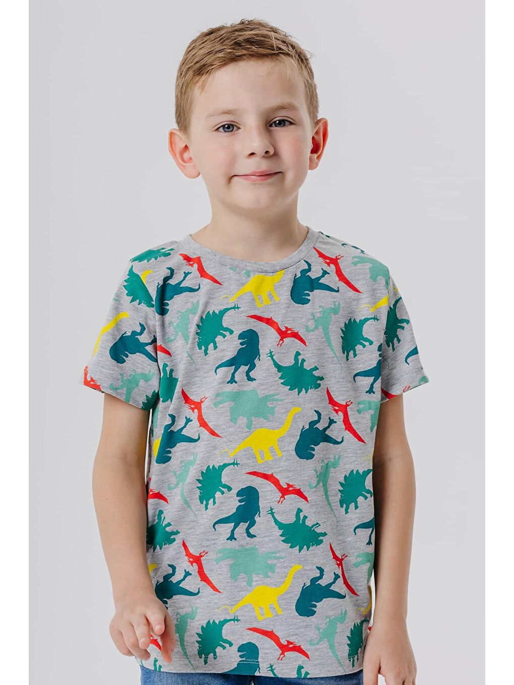 Erkek Çocuk Tişört Renkli Dinozor Baskılı Gri Melanj (6 Yaş)