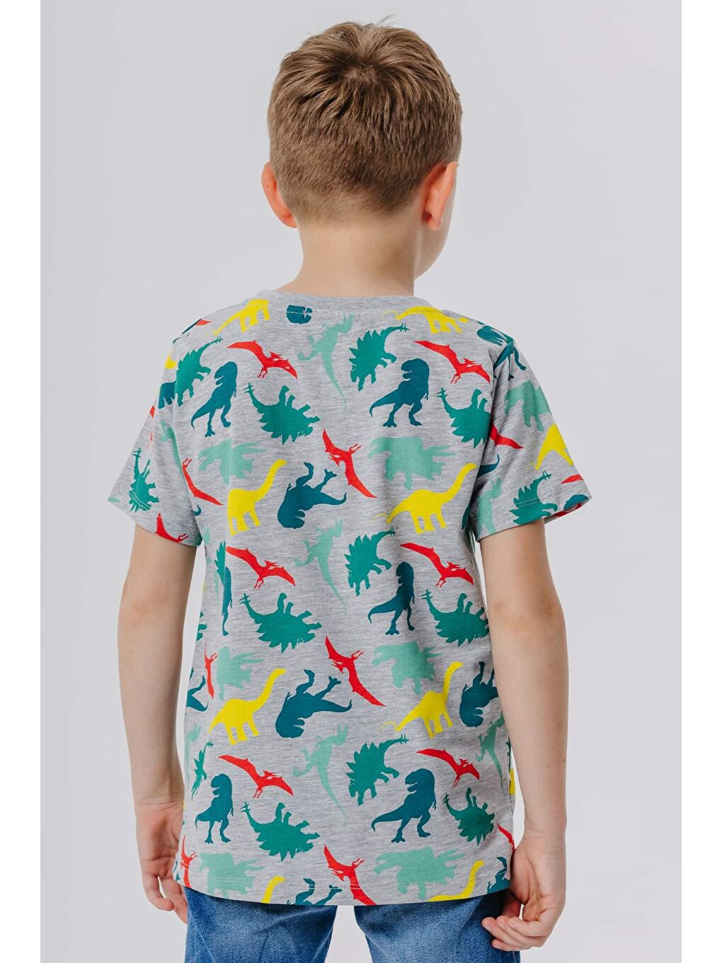 Erkek Çocuk Tişört Renkli Dinozor Baskılı Gri Melanj (6 Yaş)-1