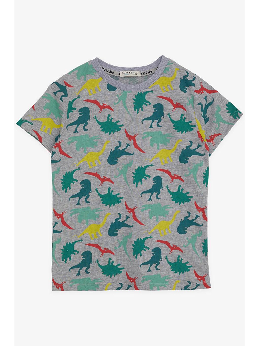 Erkek Çocuk Tişört Renkli Dinozor Baskılı Gri Melanj (6 Yaş)-2