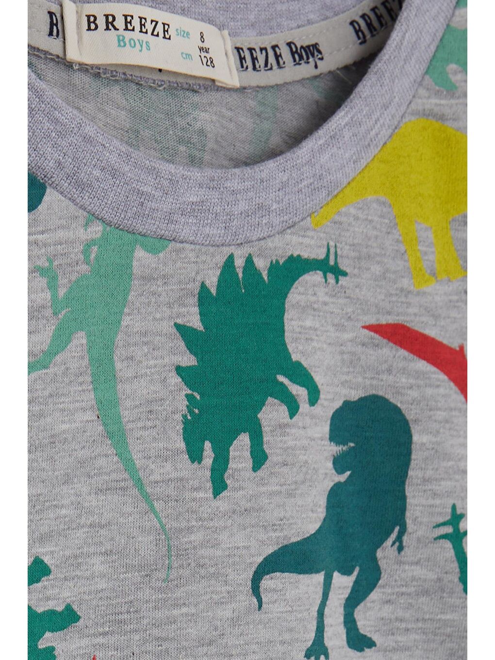 Erkek Çocuk Tişört Renkli Dinozor Baskılı Gri Melanj (6 Yaş)-4