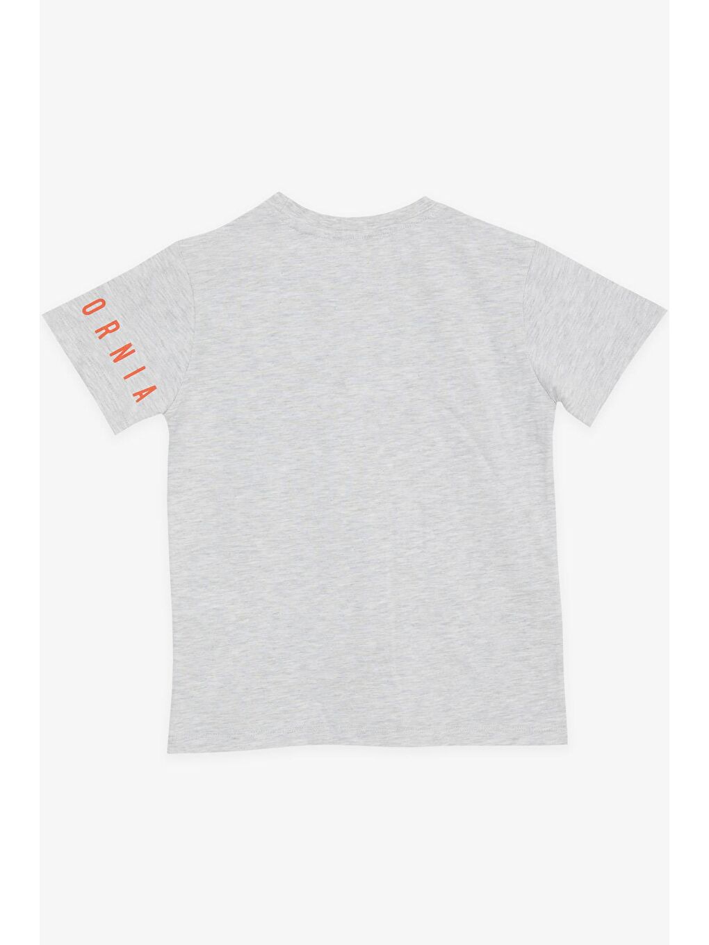 Bej Erkek Çocuk Tatil Temalı Sörfçü Baskılı Açık Gri Melanj (6-12 Yaş)-3