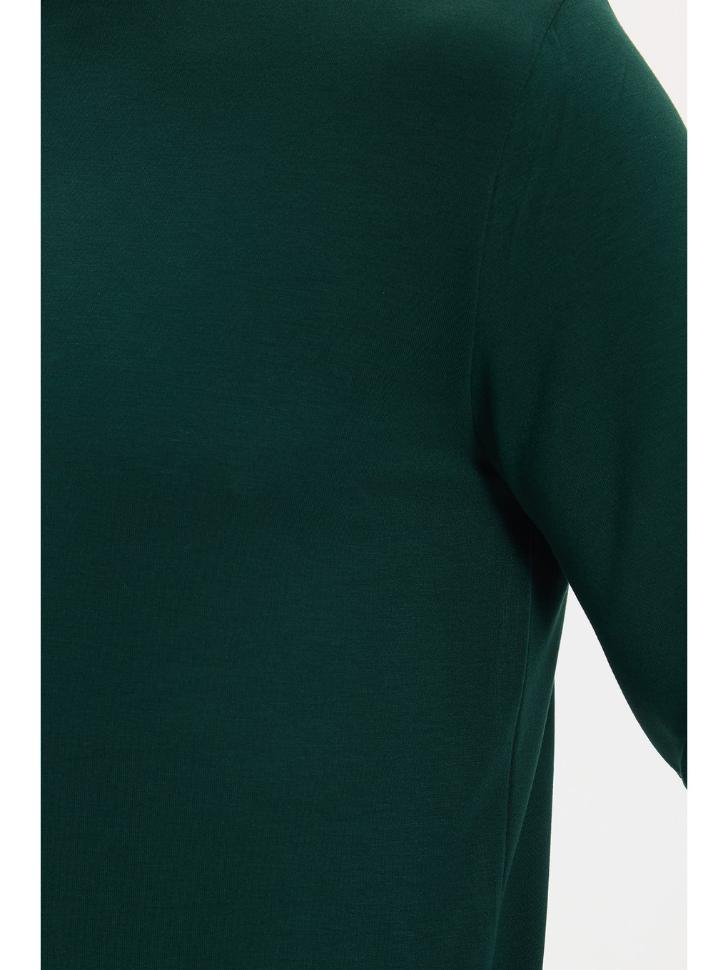 Erkek Standart Fit Normal Kesim Uzun Kollu Ekstra Soft Modal Kumaş Bisiklet Yaka Yeşil Sweatshirt-4
