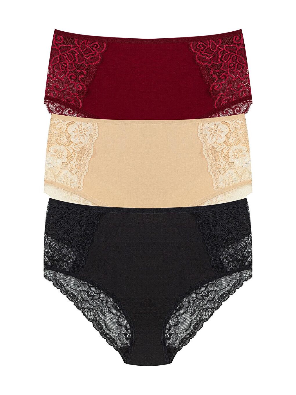 Karışık Pamuklu Ön Yanlar ve Arka V Dantel Detay Yüksek Bel Büyük Beden Kadın Külot 3'lü