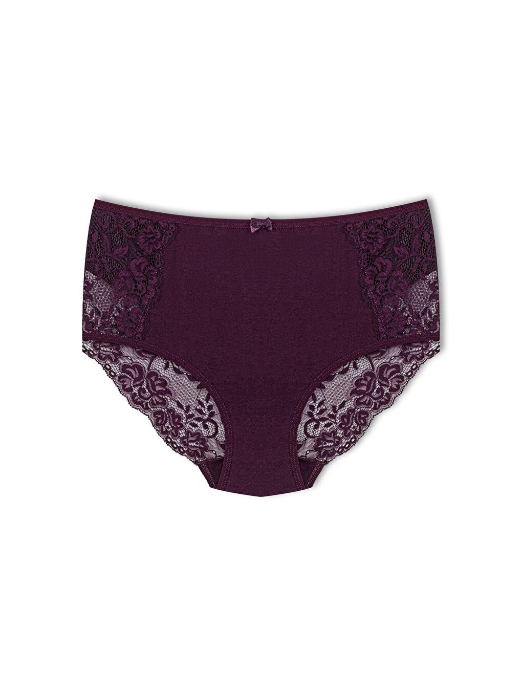 Karışık Pamuklu Ön Yanlar ve Arka V Dantel Detay Yüksek Bel Büyük Beden Kadın Külot 3'lü-1