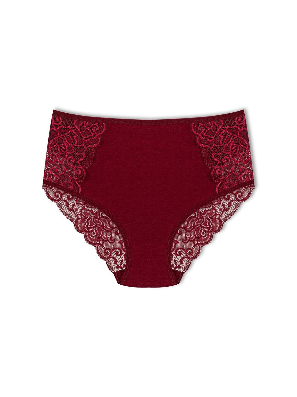 Karışık Pamuklu Ön Yanlar ve Arka V Dantel Detay Yüksek Bel Büyük Beden Kadın Külot 3'lü-1