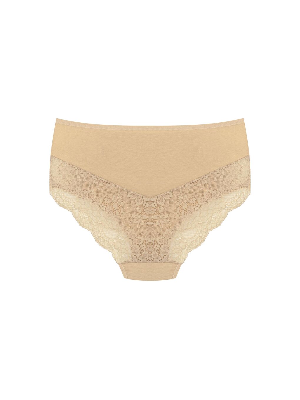 Karışık Pamuklu Ön Yanlar ve Arka V Dantel Detay Yüksek Bel Büyük Beden Kadın Külot 3'lü-3