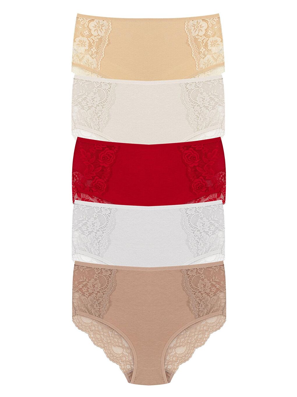 Karışık Pamuklu Ön Yanlar ve Arka V Dantel Detay Yüksek Bel Büyük Beden Kadın Külot 5'li