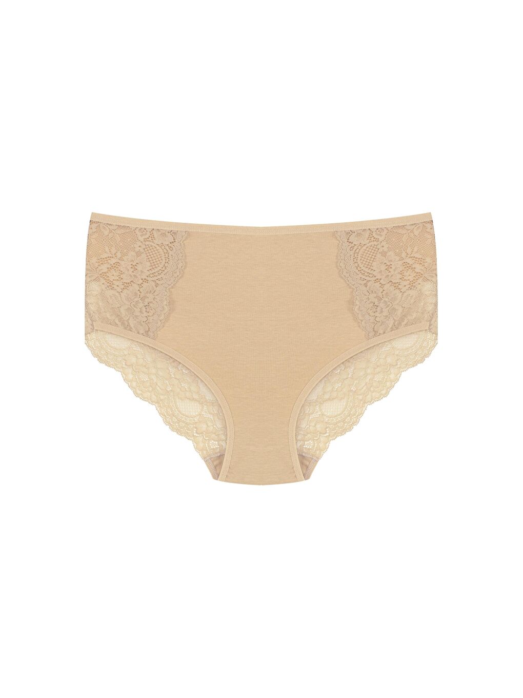 Karışık Pamuklu Ön Yanlar ve Arka V Dantel Detay Yüksek Bel Büyük Beden Kadın Külot 5'li-1