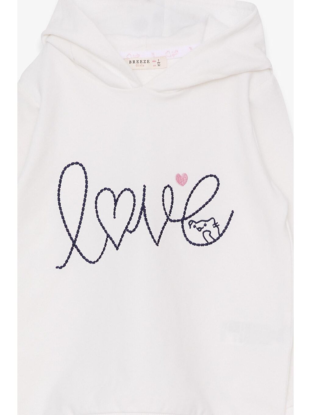 Kız Çocuk Sweatshirt Nakışlı Yazı Baskılı Ekru (2-5 Yaş)-2