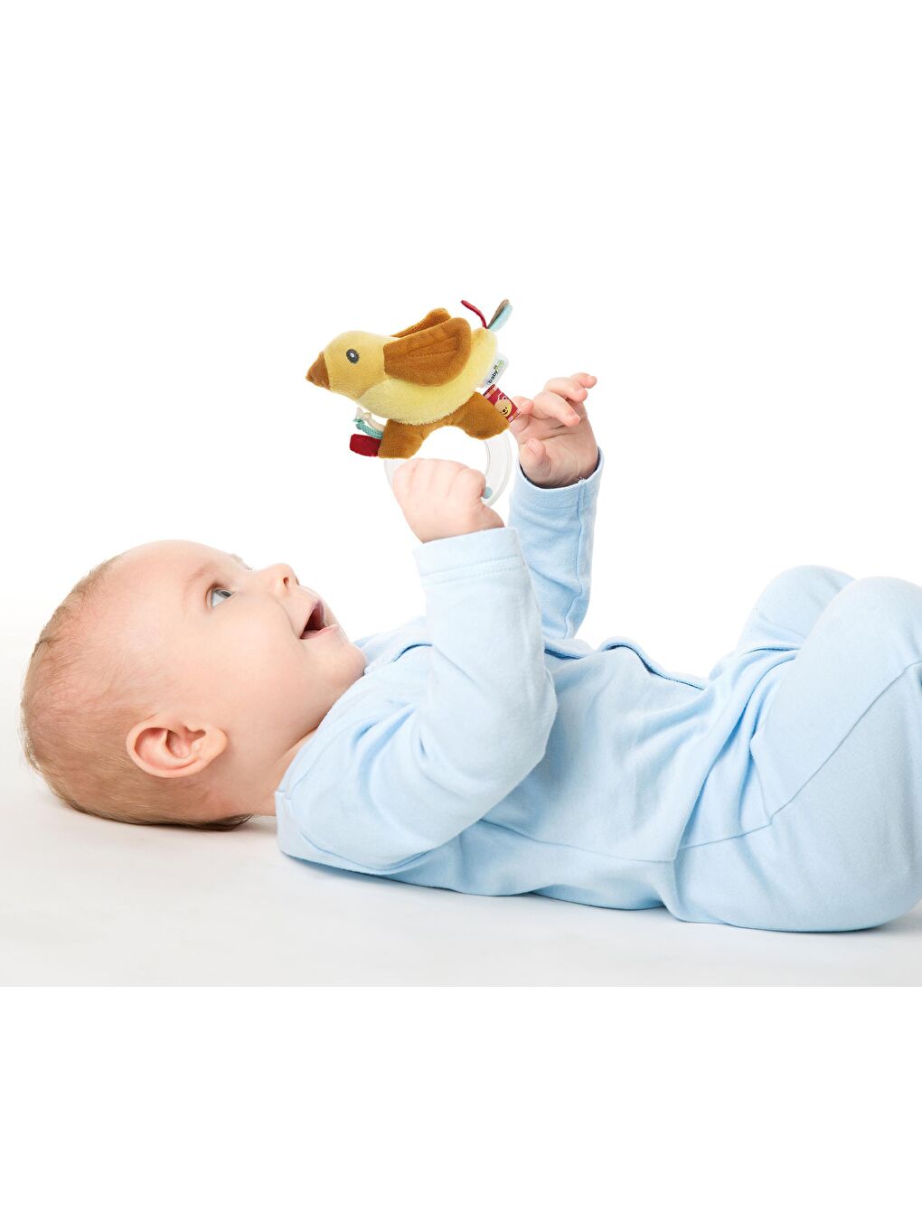 Çıngırak Lori Tarçın-1