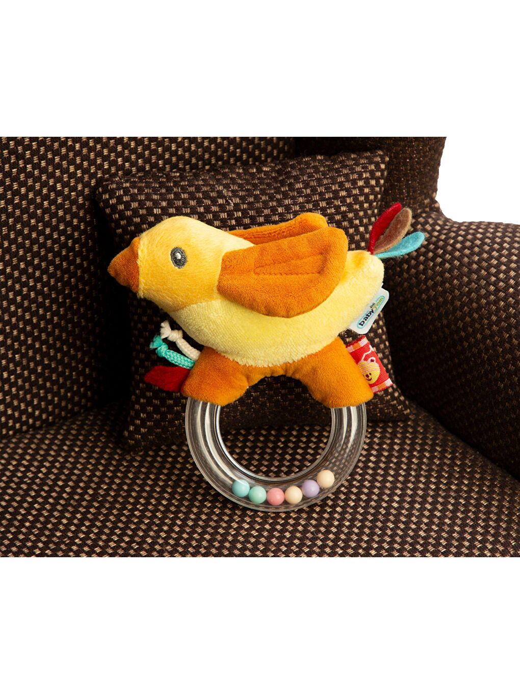 Çıngırak Lori Tarçın-2