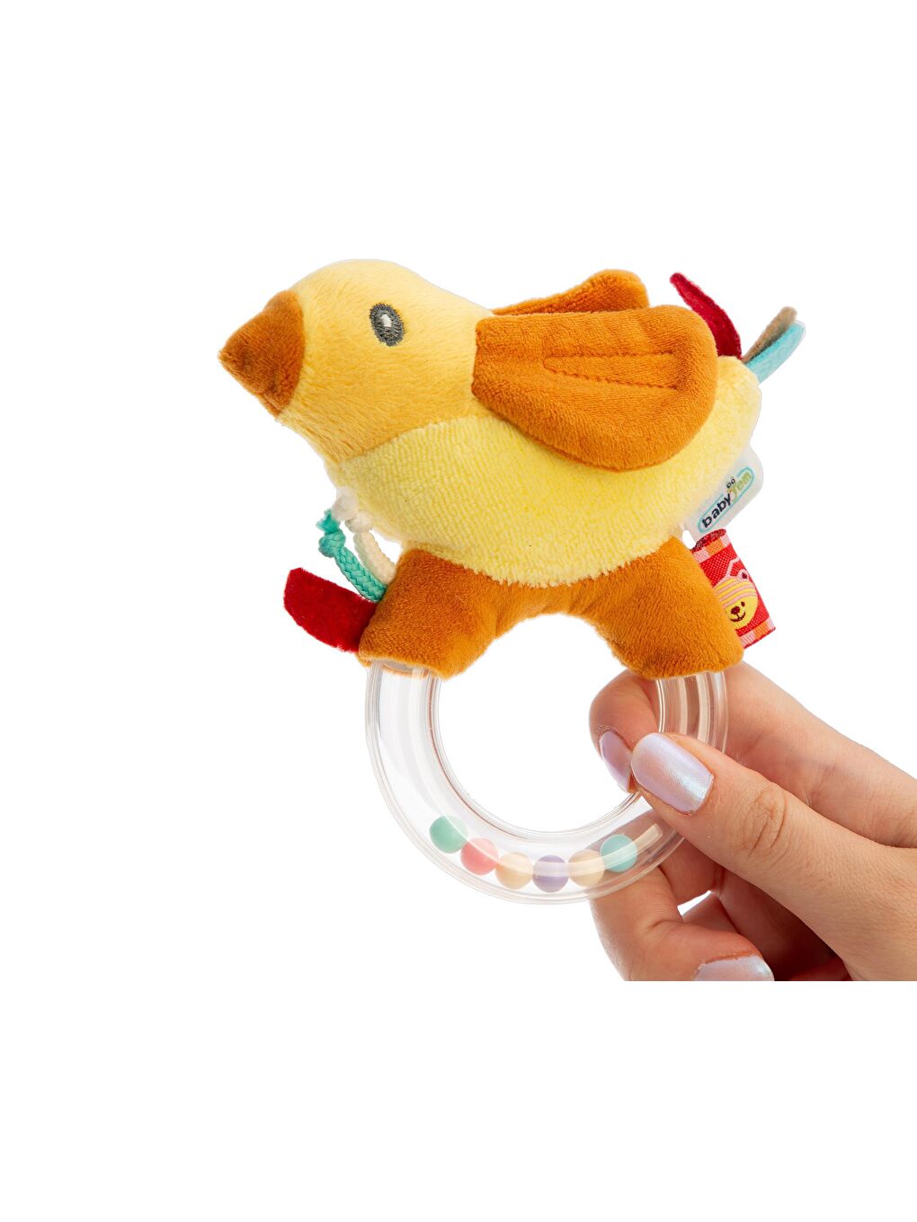 Çıngırak Lori Tarçın-3