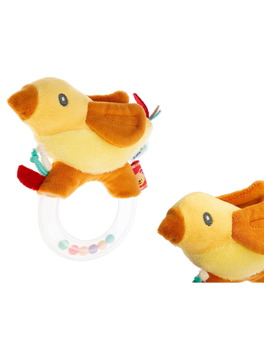 Çıngırak Lori Tarçın-4