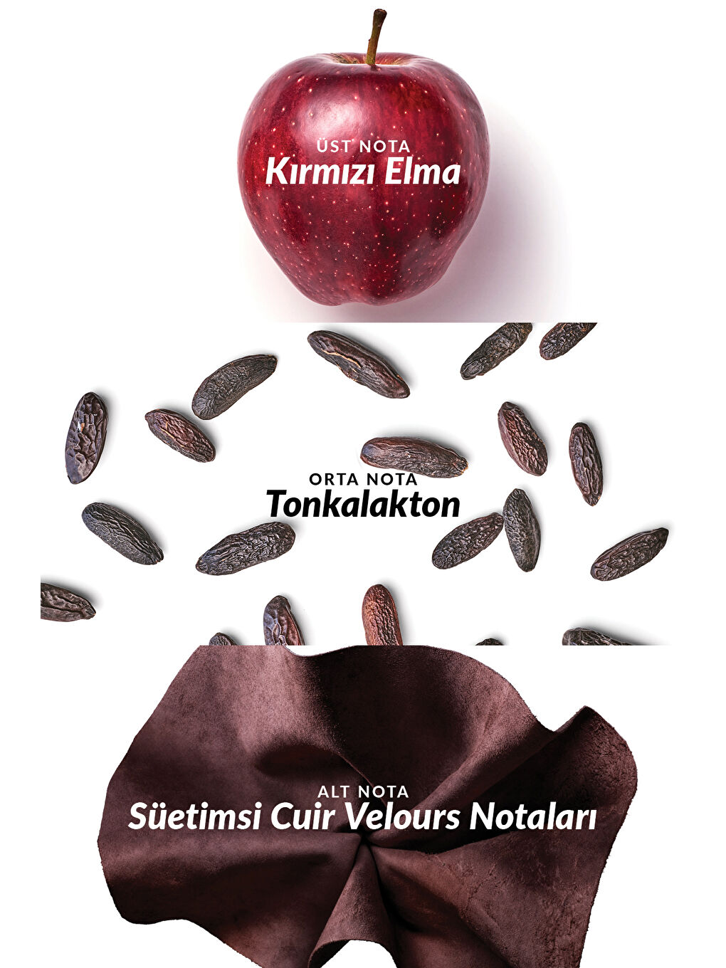 Black Suede Secret Erkek Parfüm Edt 75 Ml.-2