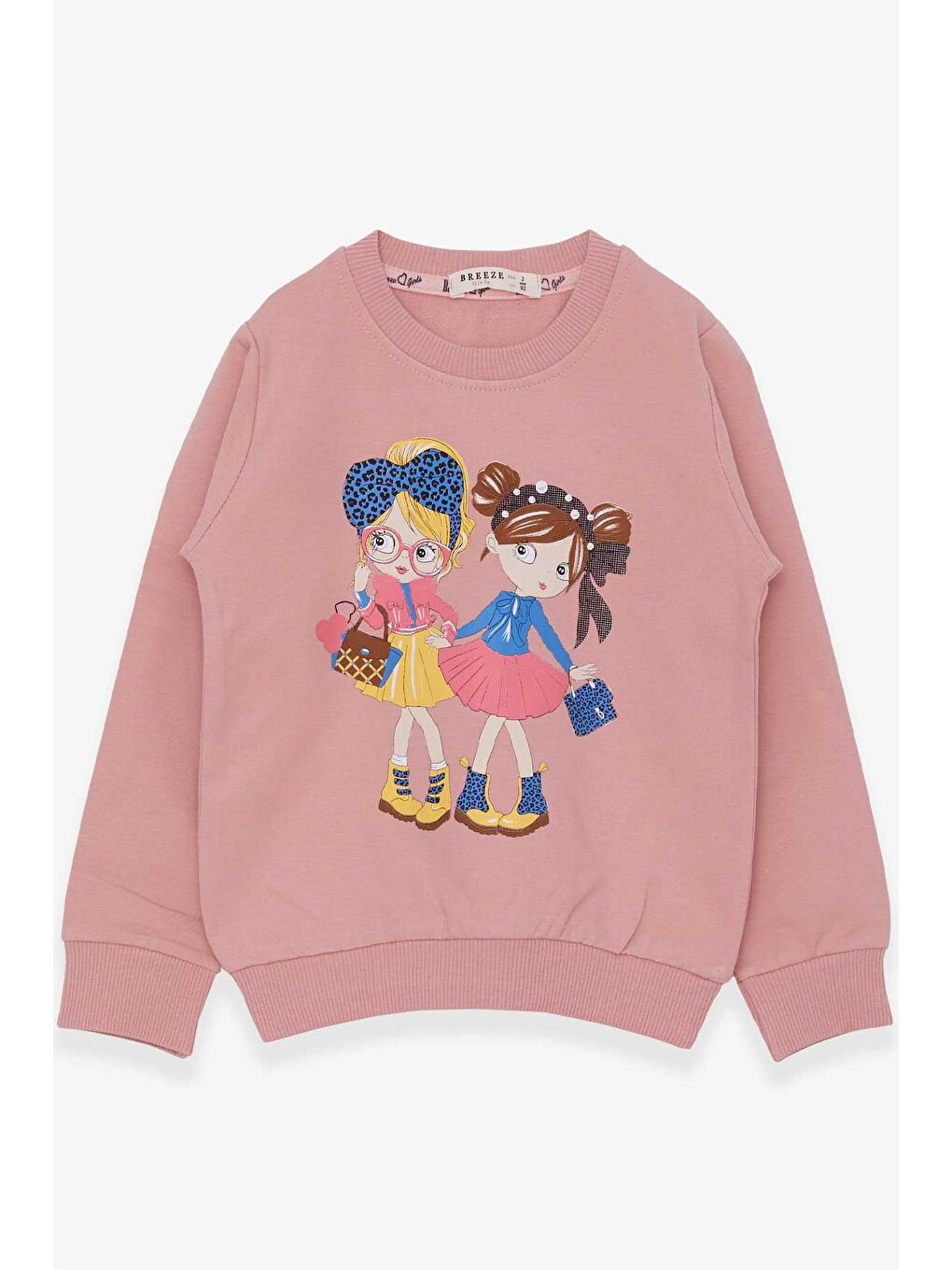 Breeze Gülkurusu Kız Bebek Sweatshirt Kız Baskılı Gülkurusu (2 Yaş)