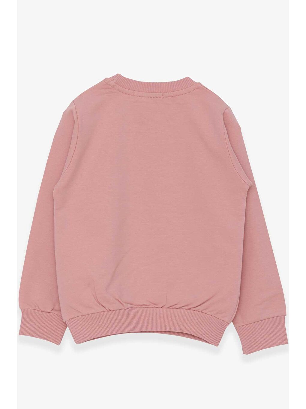 Breeze Gülkurusu Kız Bebek Sweatshirt Kız Baskılı Gülkurusu (2 Yaş) - 1