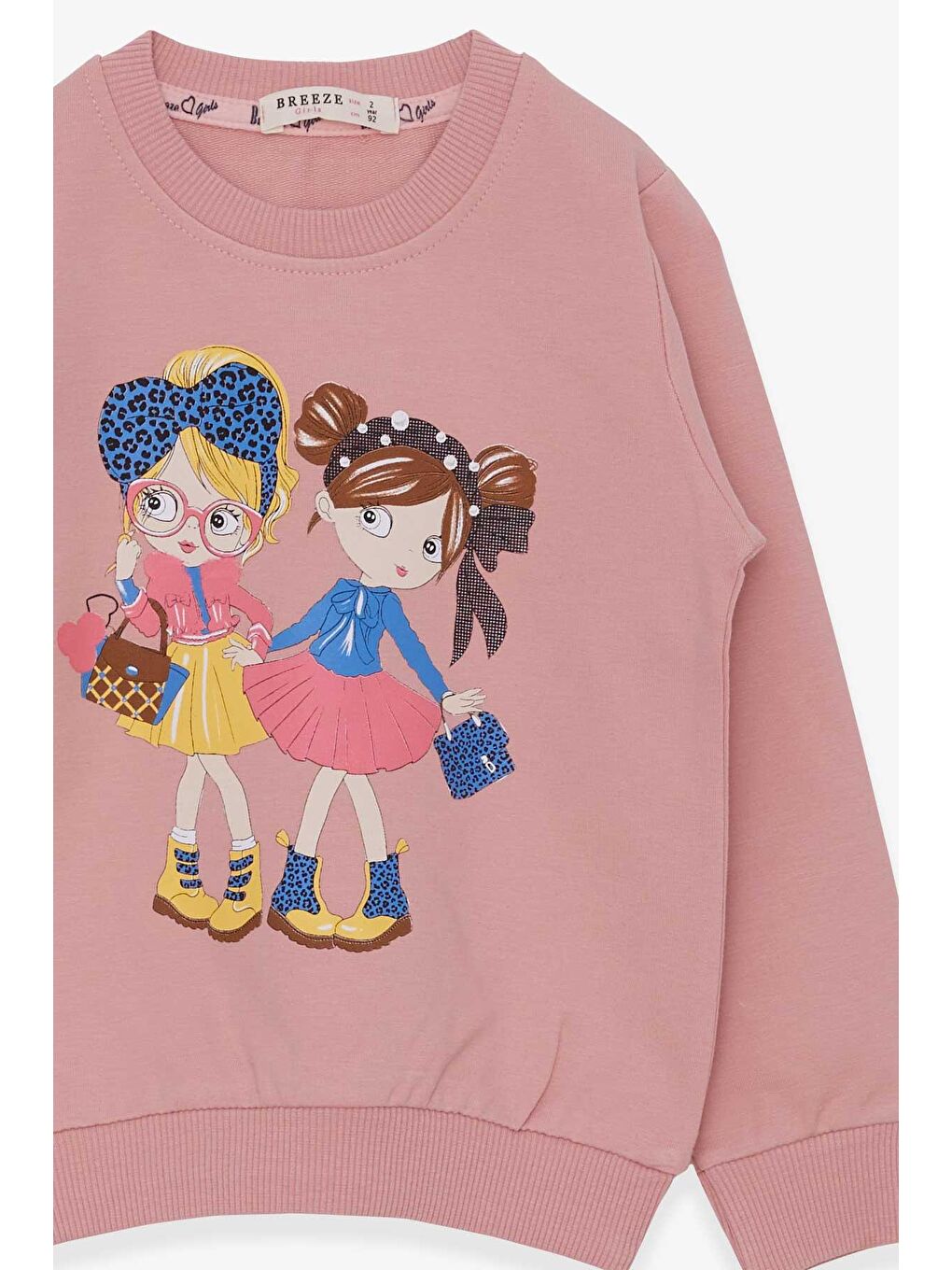 Breeze Gülkurusu Kız Bebek Sweatshirt Kız Baskılı Gülkurusu (2 Yaş) - 2