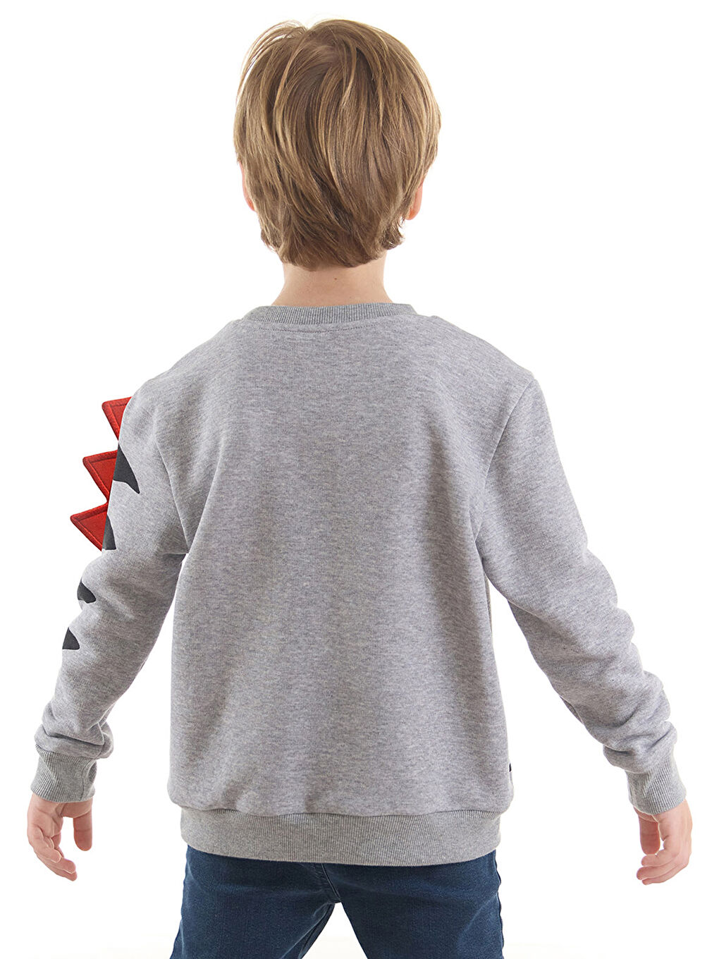 Şekerci Dinozor Erkek Çocuk Gri Sweatshirt-1