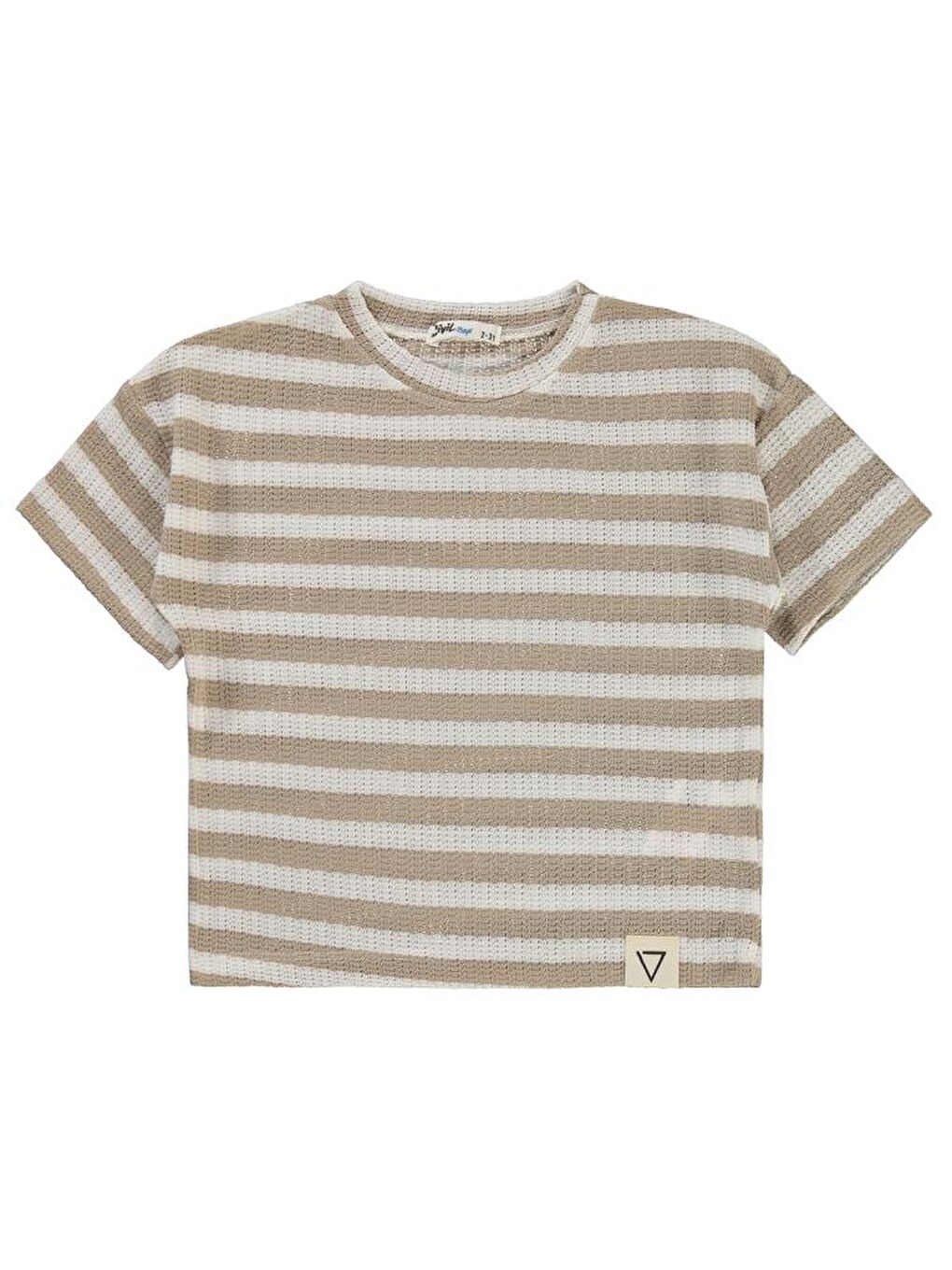 Kahverengi Boys Çizgili 2-5 Yaş Tişört