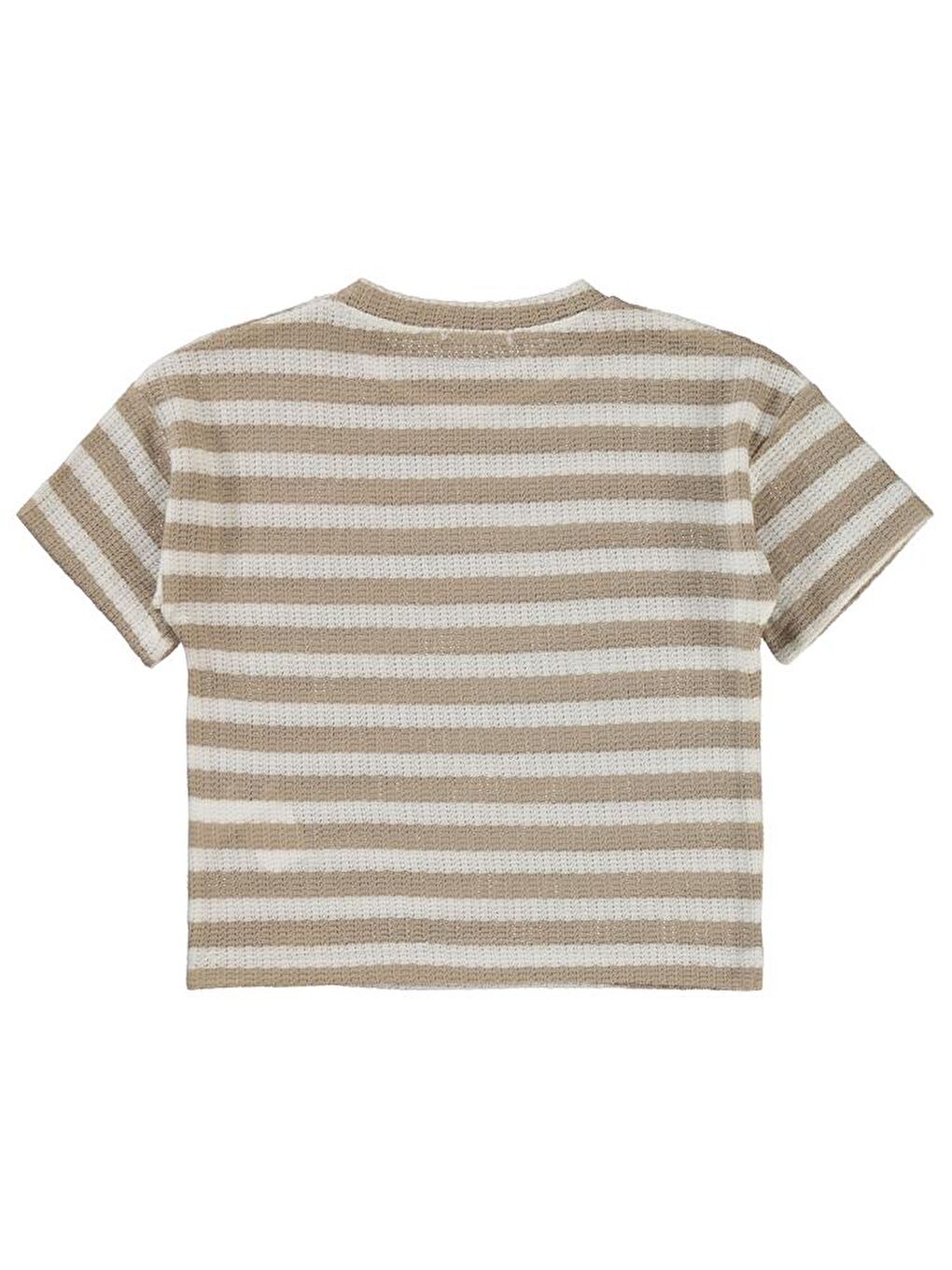 Kahverengi Boys Çizgili 2-5 Yaş Tişört-1