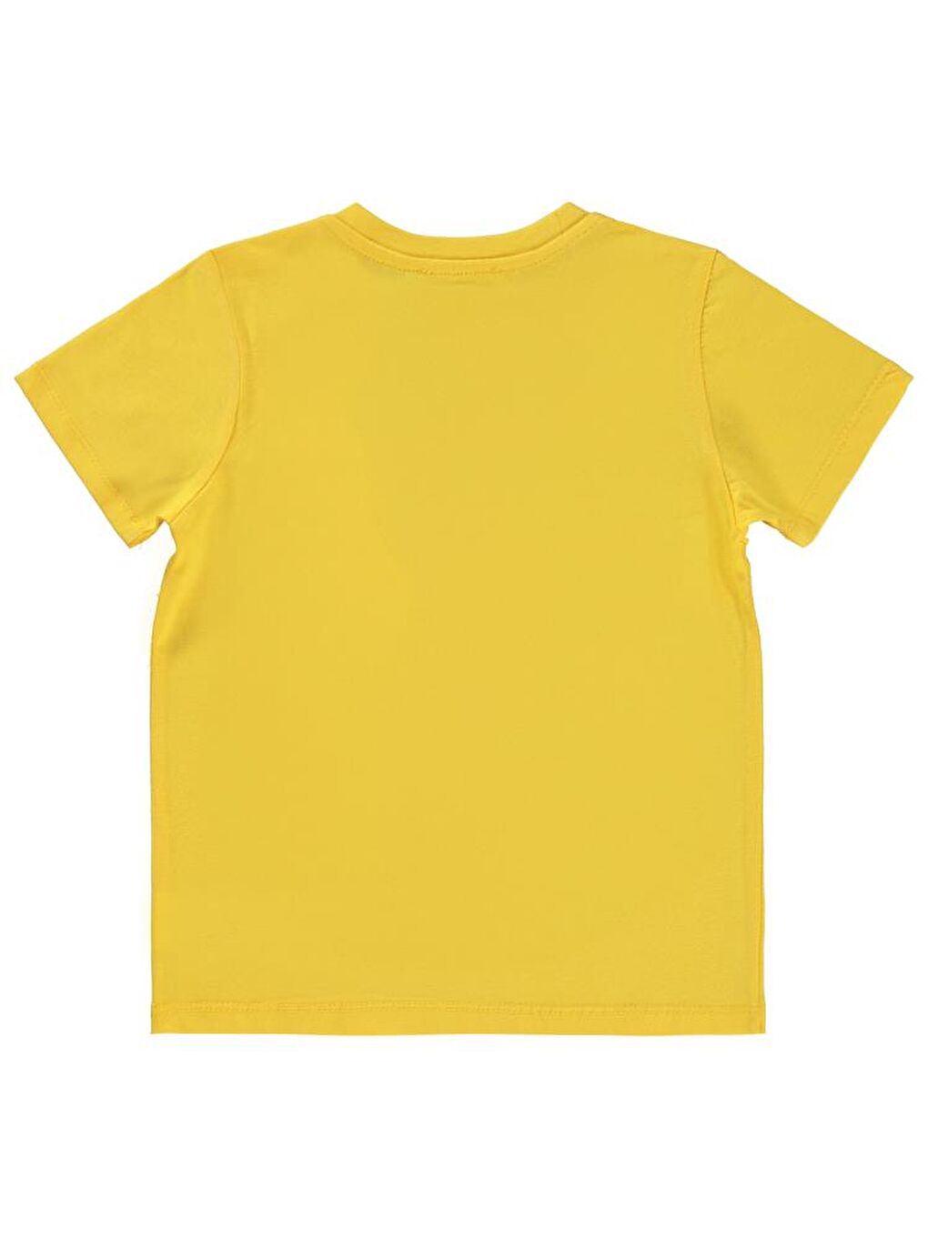Sarı Boys Summer Tıme Baskılı 2-5 Yaş Tişört-1