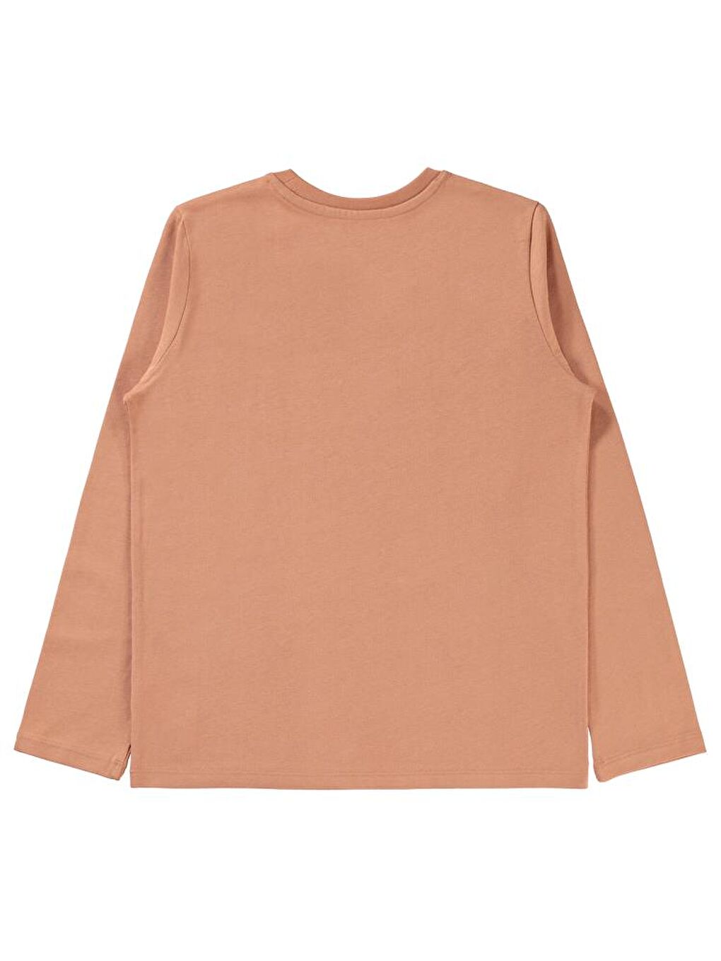 Kahverengi Boys Wild Life Baskılı 10-13 Yaş Sweatshirt-1