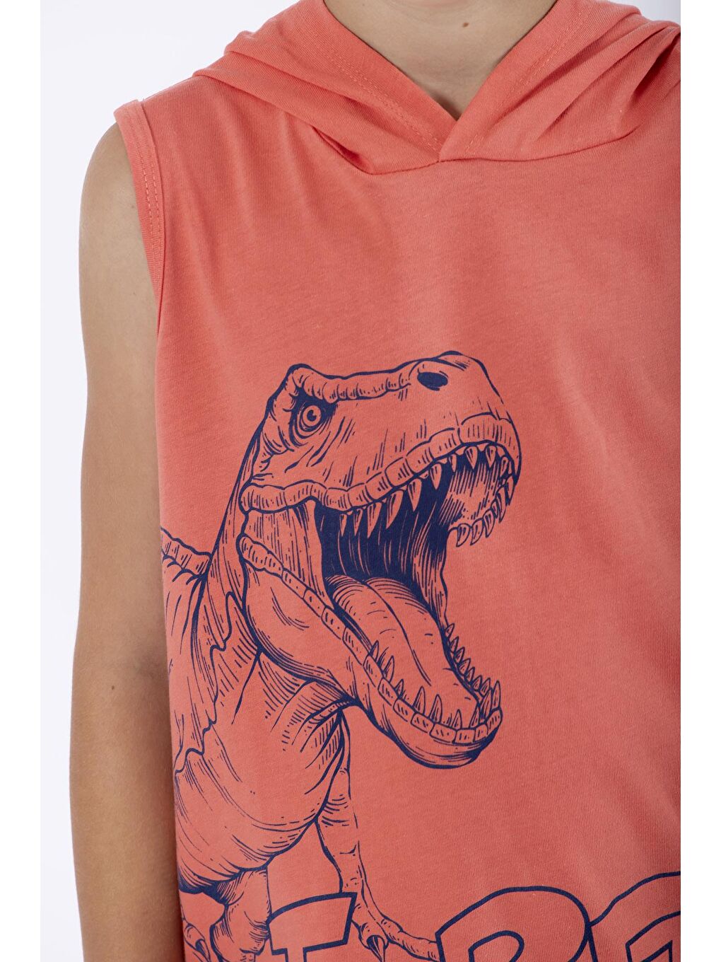 Zepkids Narçiçeği Trex Baskılı Kapüşonlu Sıfır Kol Nar Çiçeği Renk Erkek Çocuk Tshirt - 4