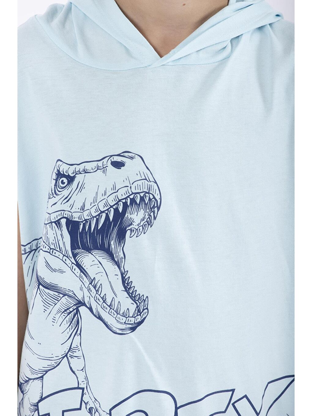 Zepkids Açık Mavi Trex Baskılı Kapüşonlu Sıfır Kol Mavi Renk Erkek Çocuk Tshirt - 4