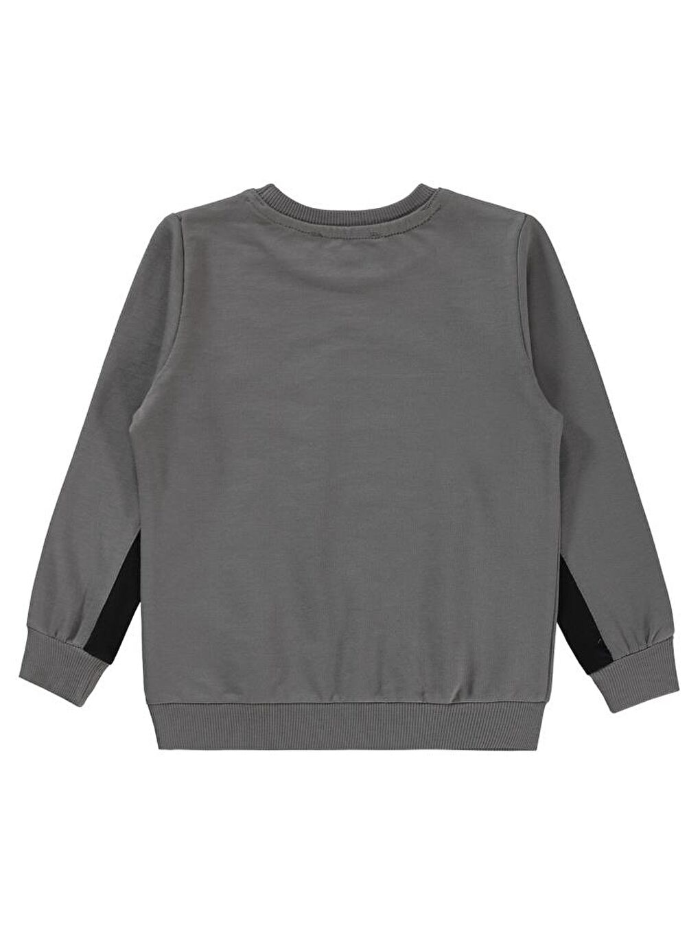 Antrasit Boys Dinozor Baskılı 2-5 Yaş Sweatshirt-1