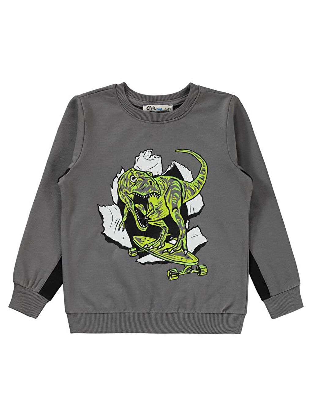 Antrasit Boys Dinozor Baskılı 2-5 Yaş Sweatshirt