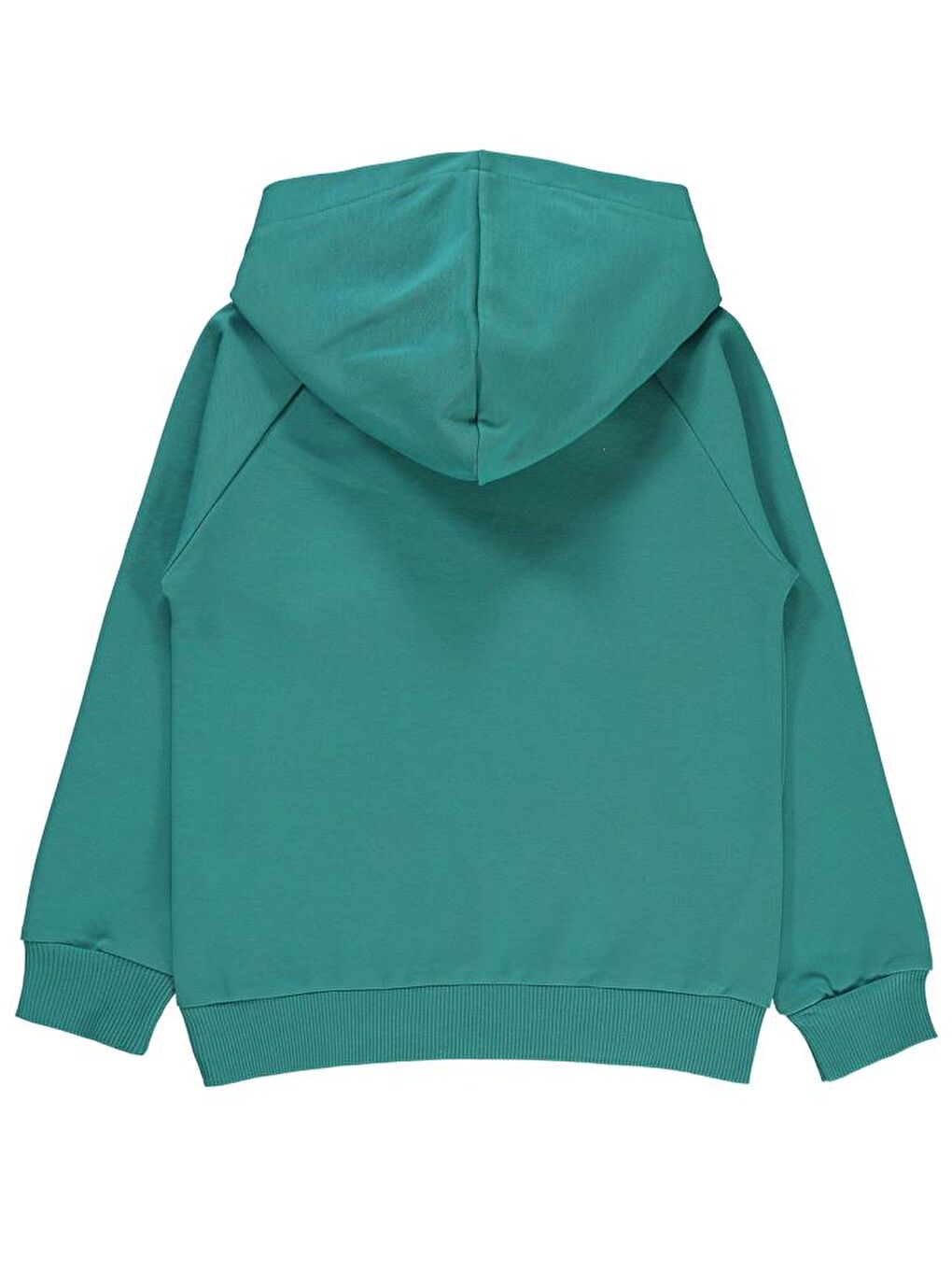 Petrol Boys Moving Baskılı 10-13 Yaş Sweatshirt-1