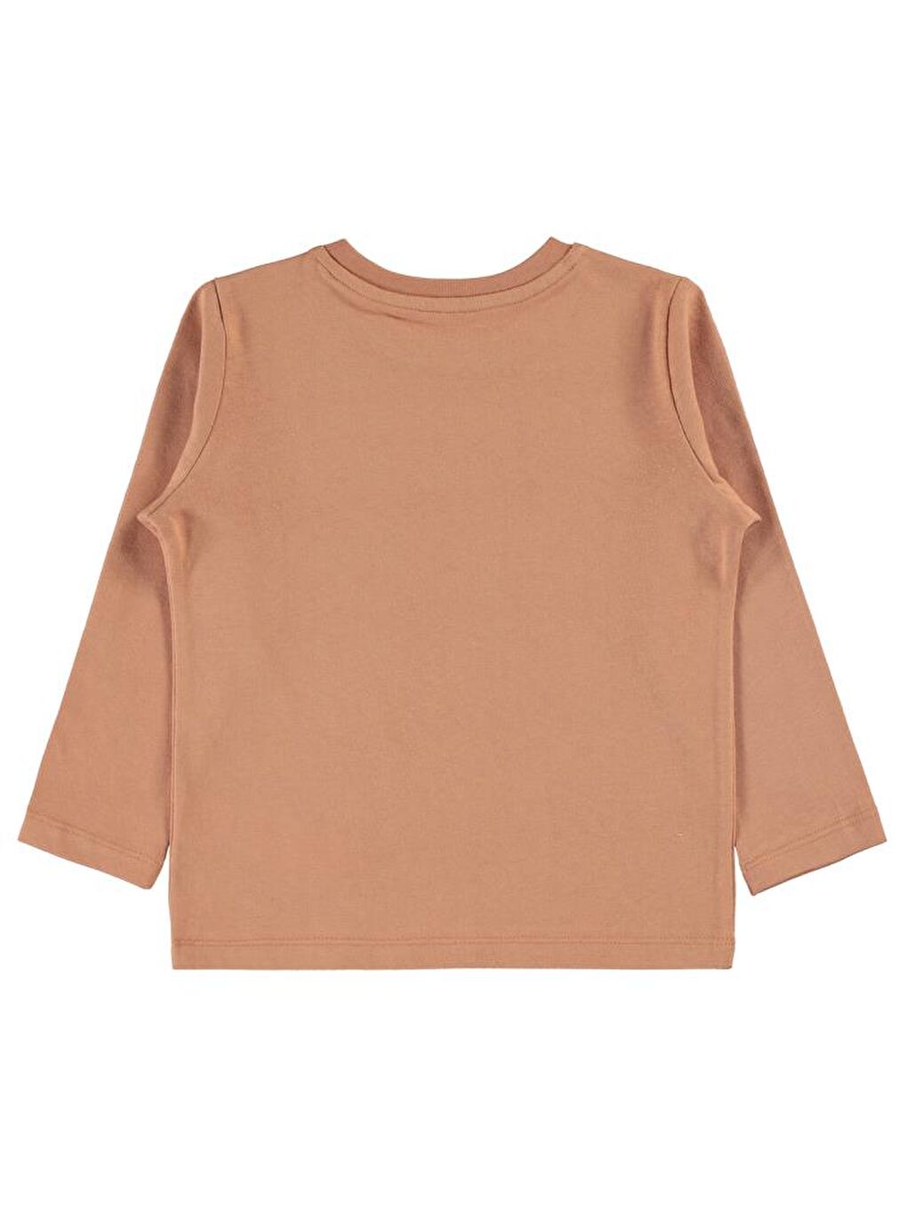 Kahverengi Boys Astronaut Baskılı 2-5 Yaş Sweatshirt-2