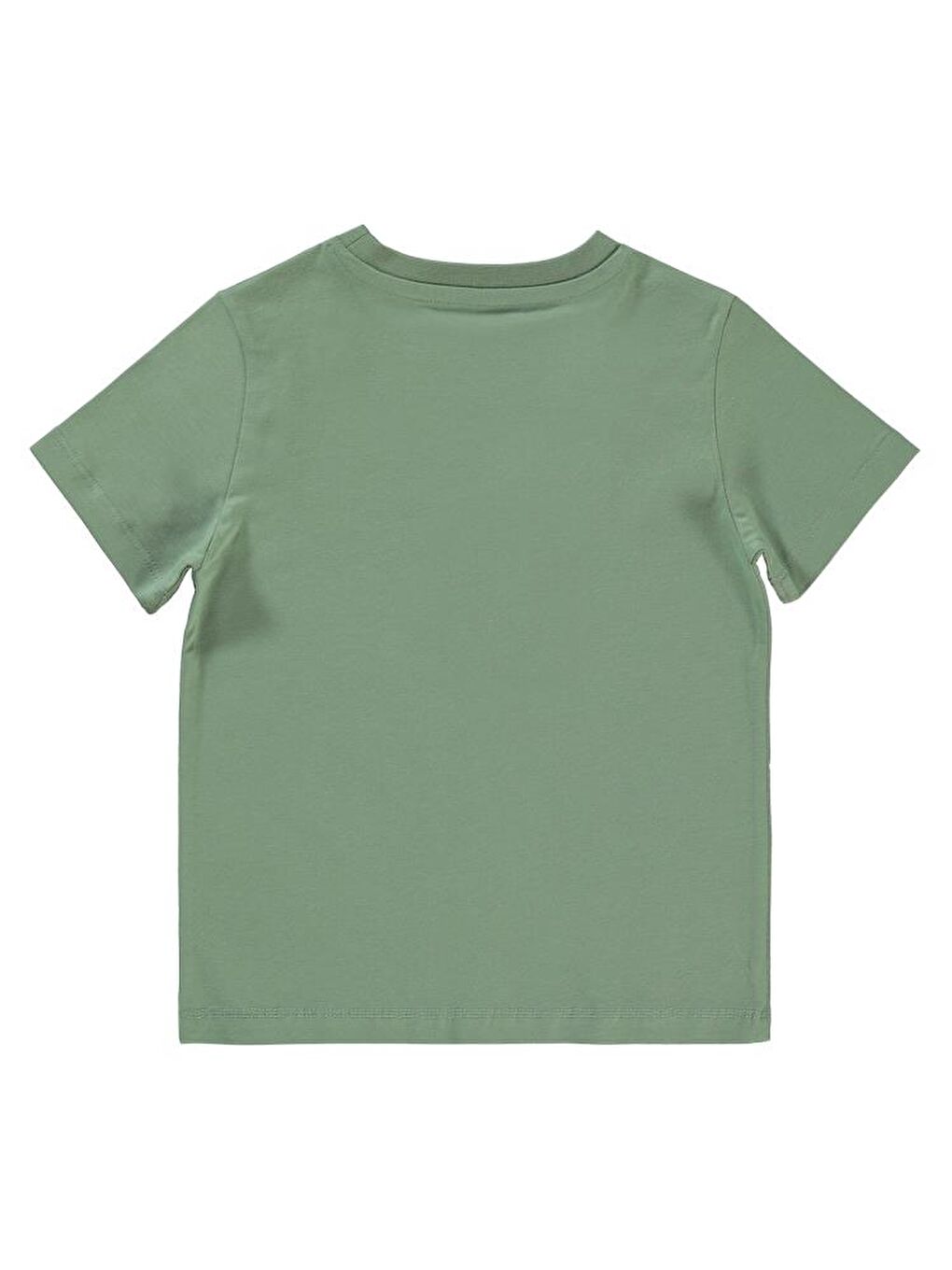 Haki Boys Dino Baskılı 2-5 Yaş Tişört