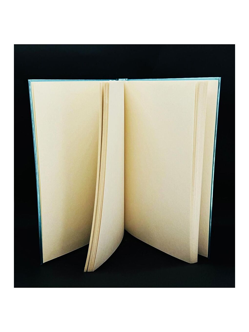 Metal Kapaklı Çileden Çıktım Tasarımlı Lastikli Defter-4