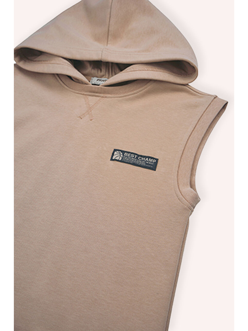 Bej Erkek Çocuk Kapüşonlu Sıfır Kol Şortlu Vizon 2'li Takım-3