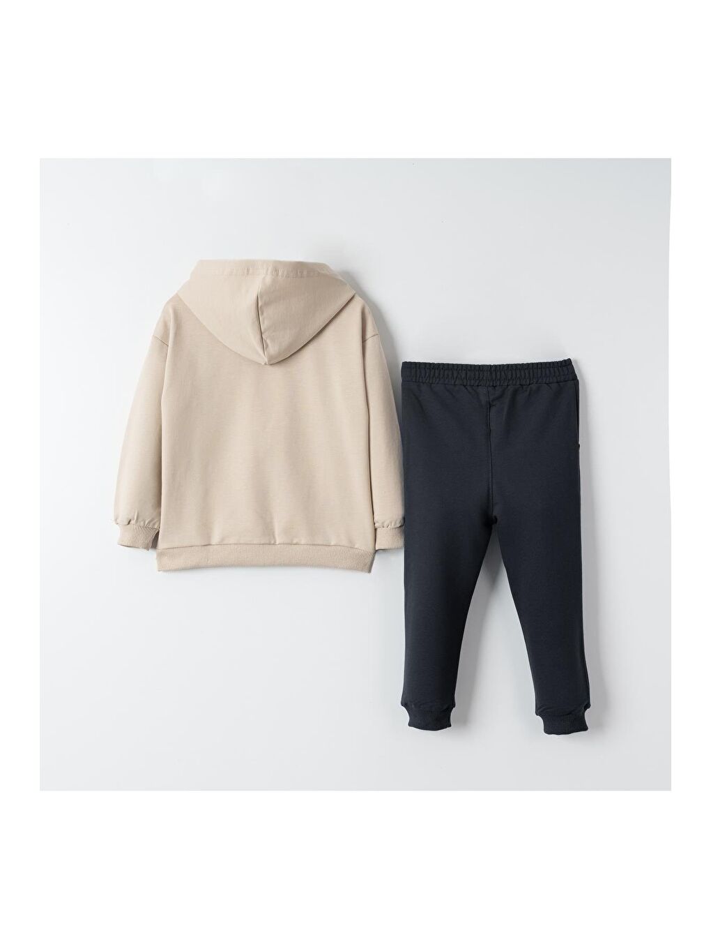 Bej Dino Fam Baskılı Erkek Çocuk Sweatshirt Eşofman Takımı-1