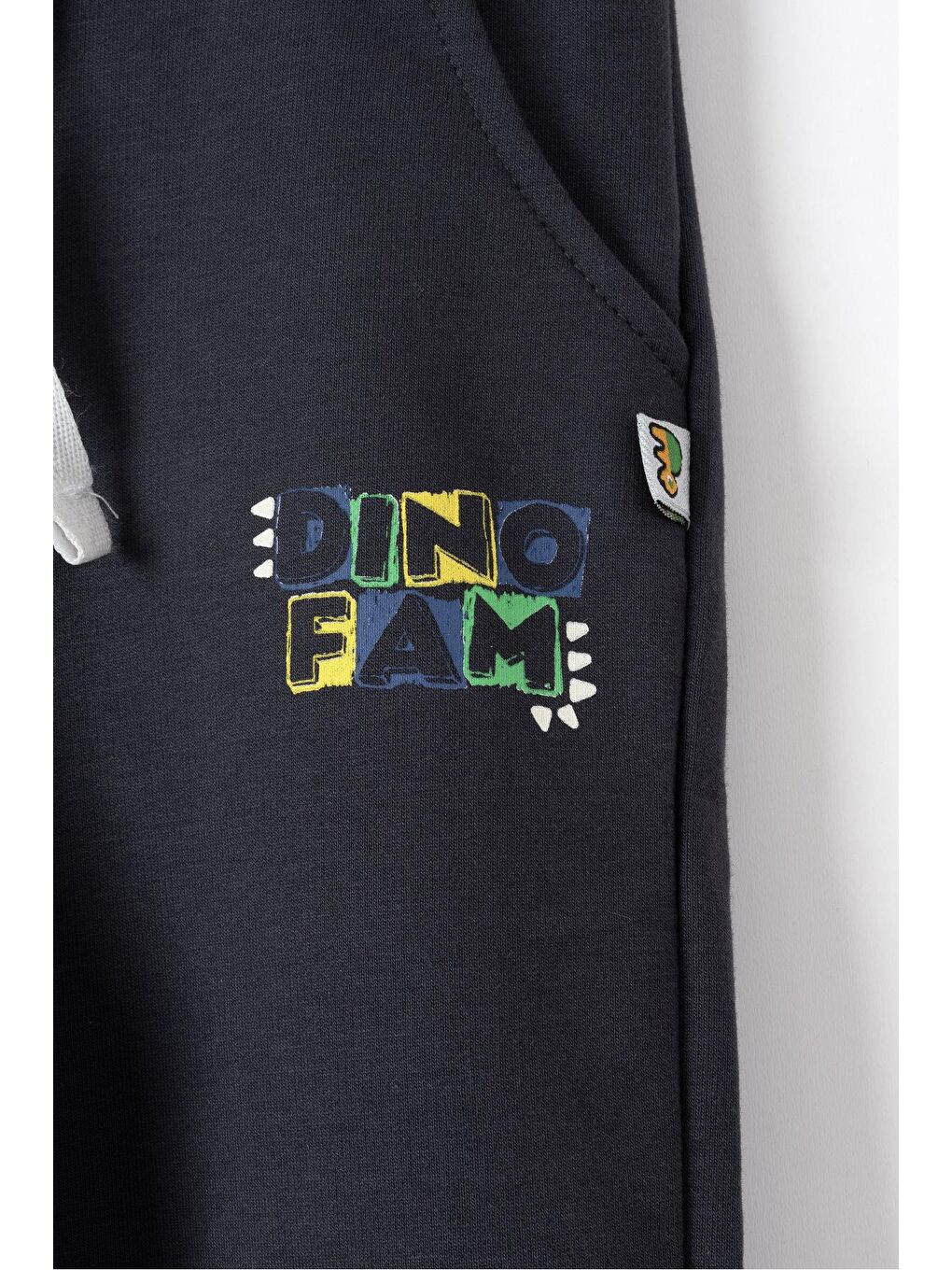 Mavi Dino Fam Baskılı Erkek Çocuk Sweatshirt Eşofman Takımı-3