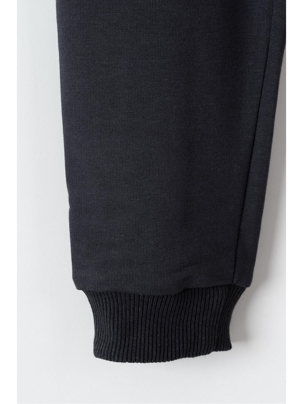 Mavi Dino Fam Baskılı Erkek Çocuk Sweatshirt Eşofman Takımı-5